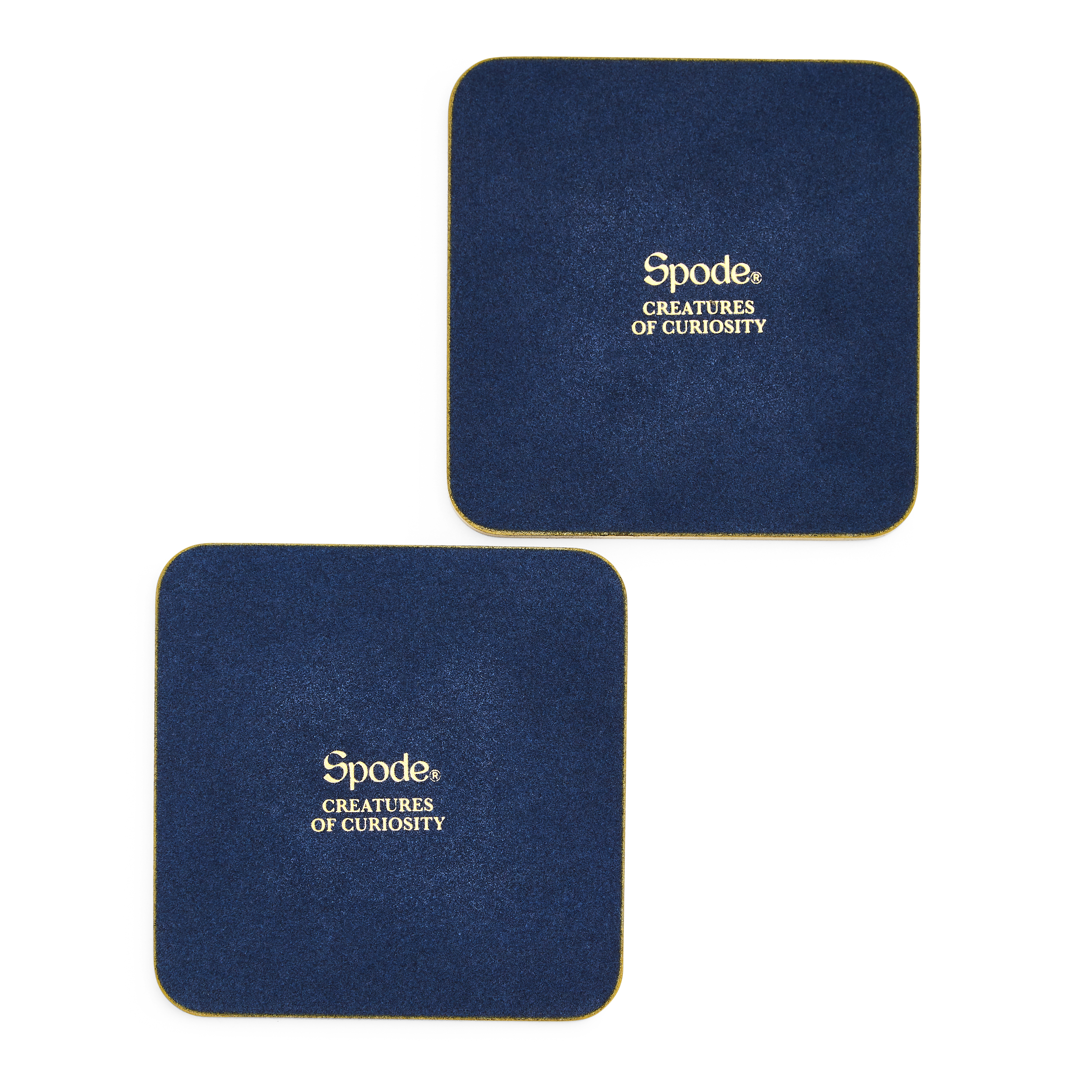 Creatures of Curiosity Set of 2 Coasters image number null